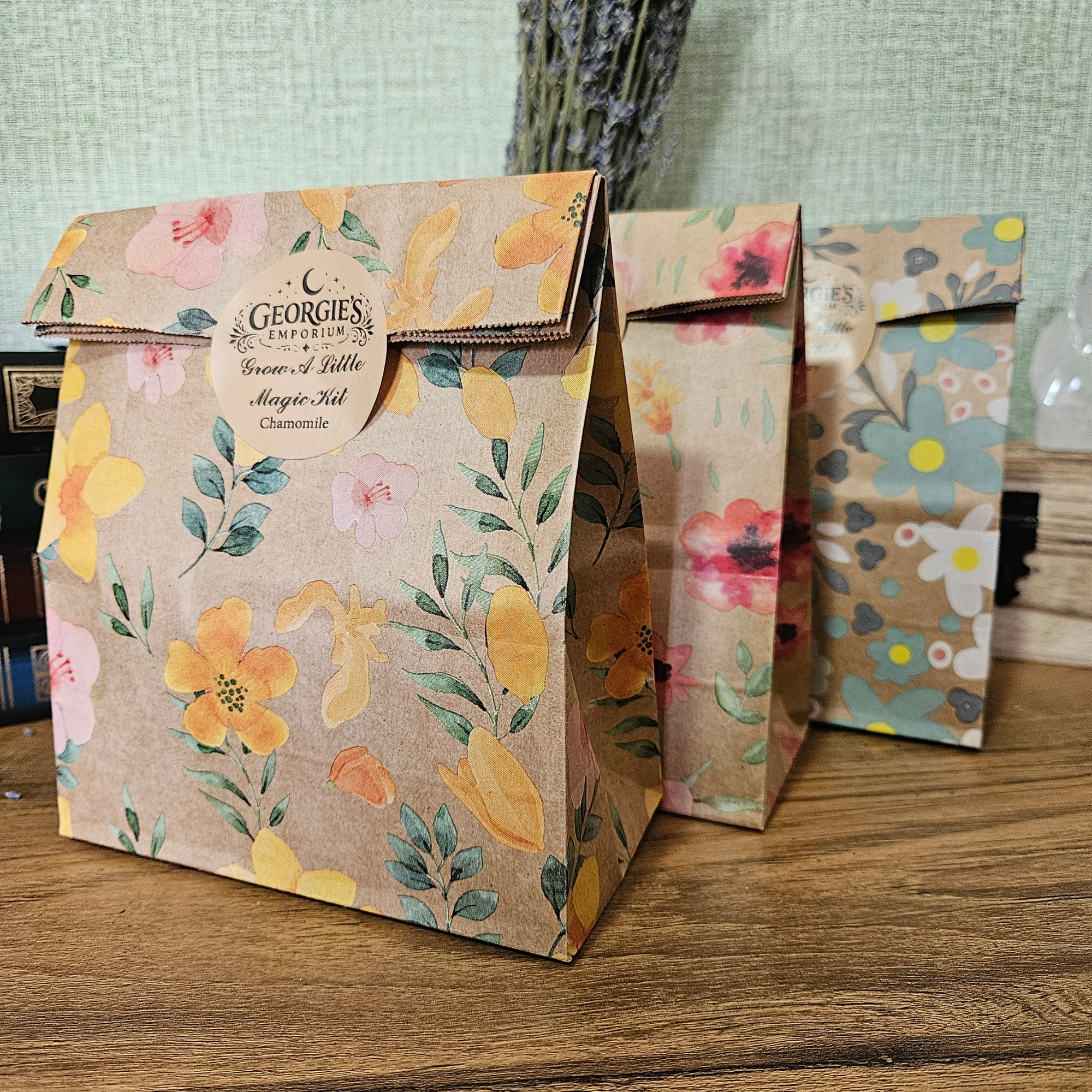 Plant a Little Magic – Mini Herb Growing Kit 🌱