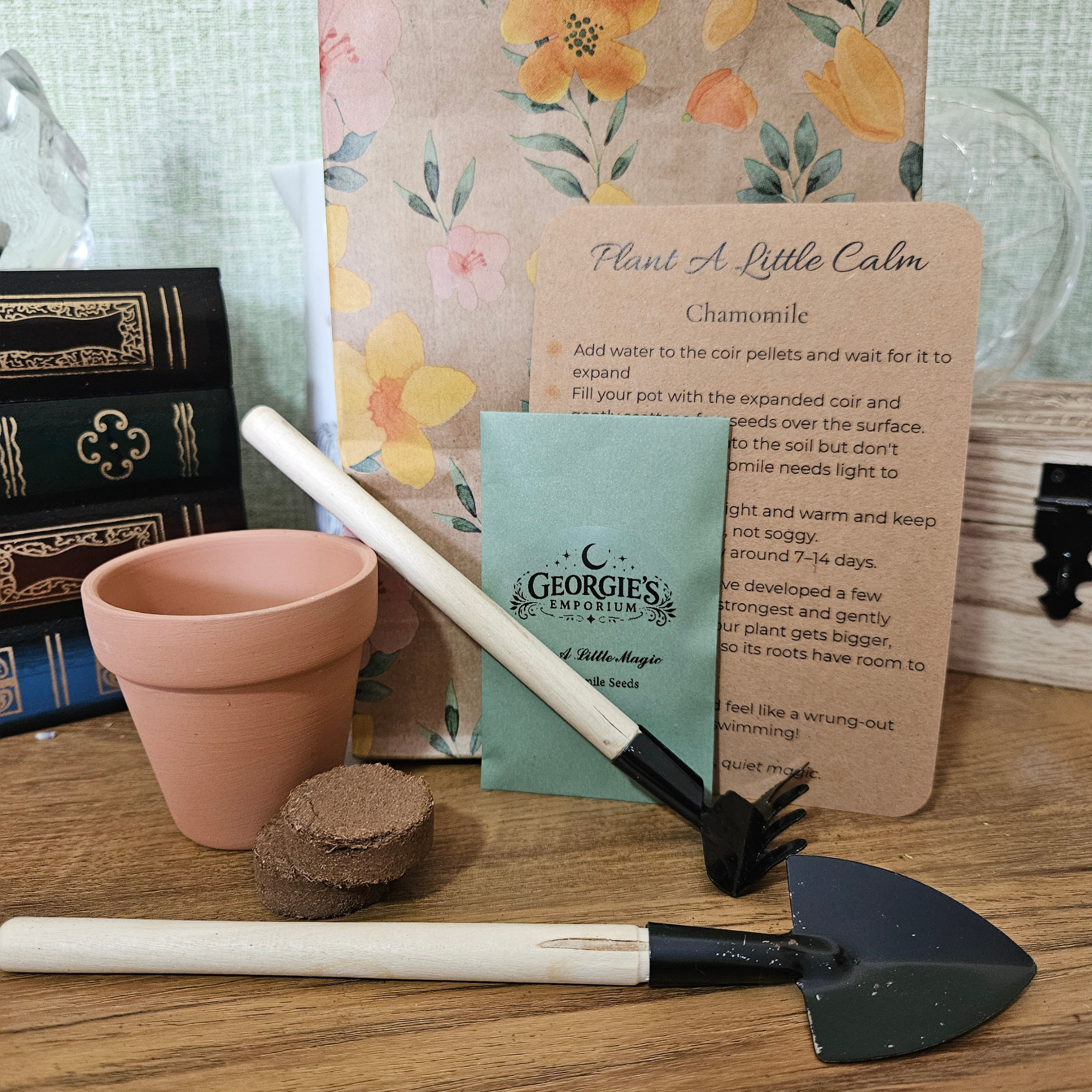 Plant a Little Magic – Mini Herb Growing Kit 🌱