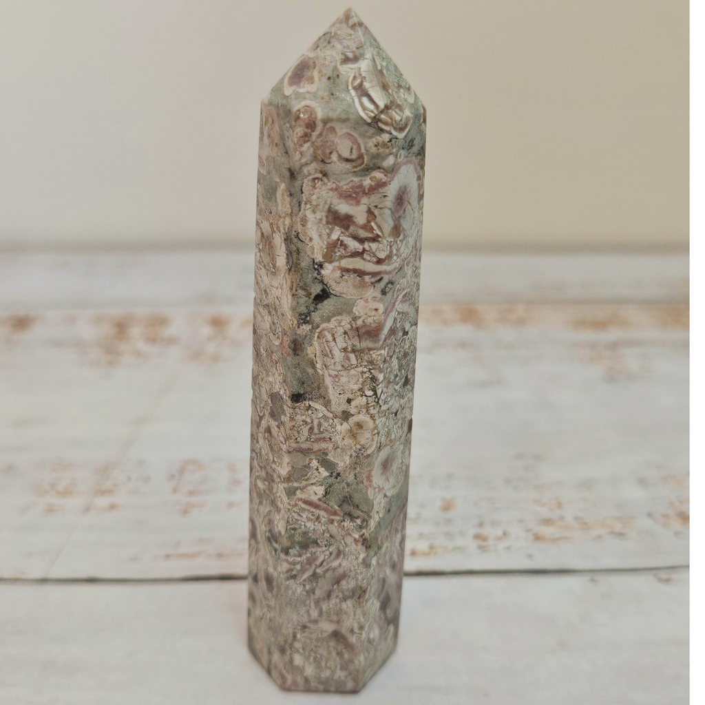 Fossil Jasper Tower (Agatized Coral)