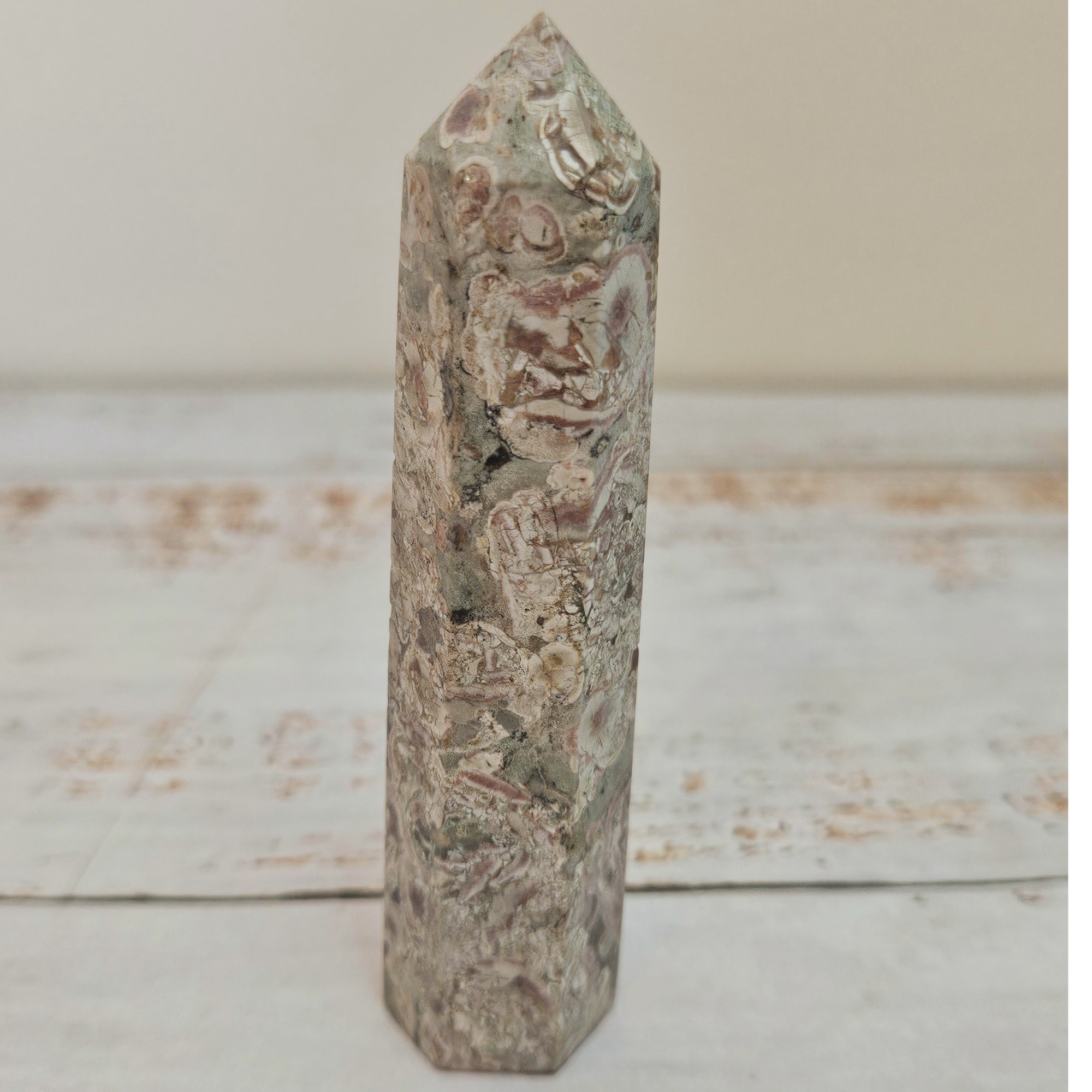 Fossil Jasper Tower (Agatized Coral)