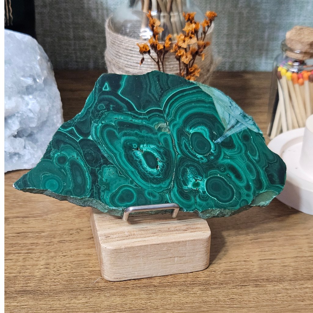 Close-up of polished natural Malachite slice showing vivid green concentric rings and swirling patterns.