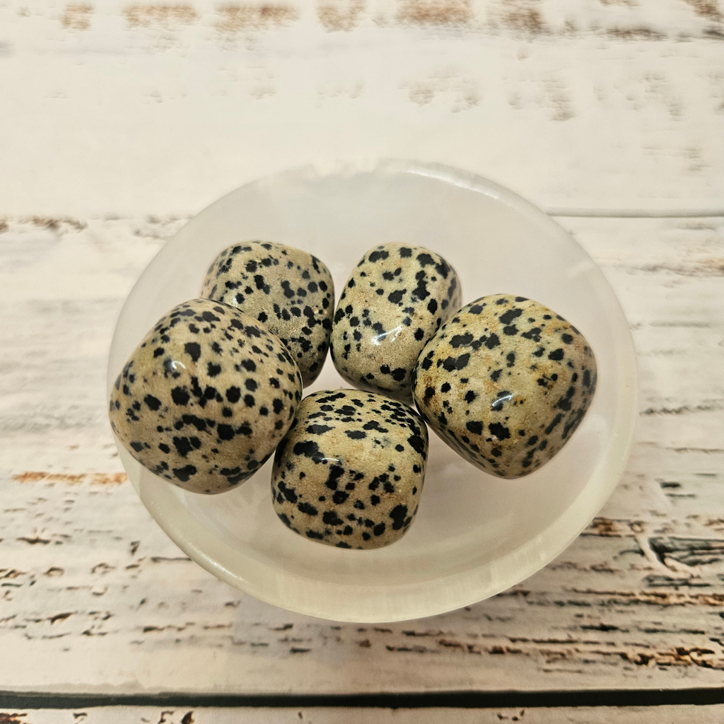 Dalmatian Jasper Tumble Stones