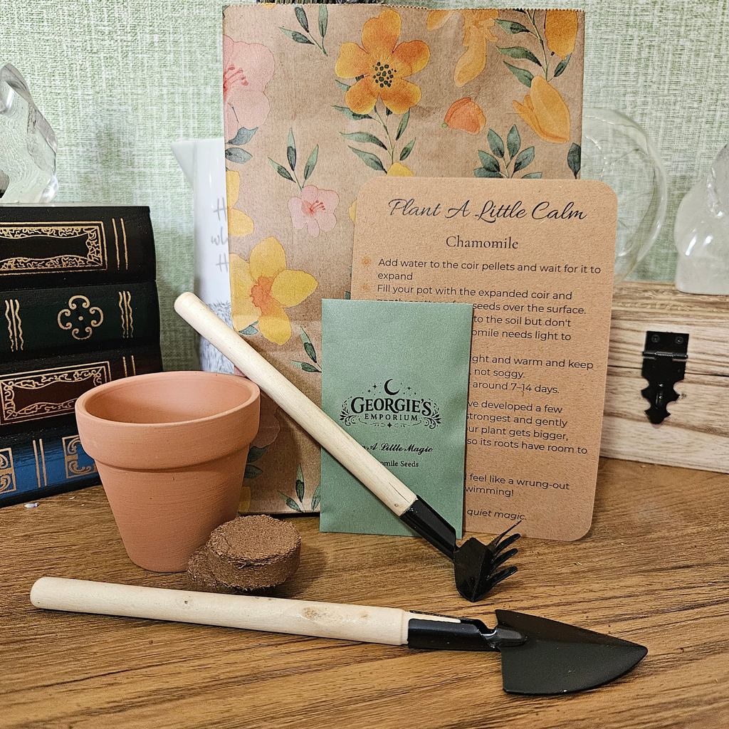 Plant a Little Magic – Mini Herb Growing Kit 🌱