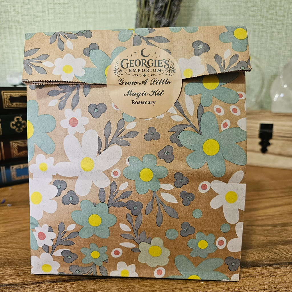 Plant a Little Magic – Mini Herb Growing Kit 🌱