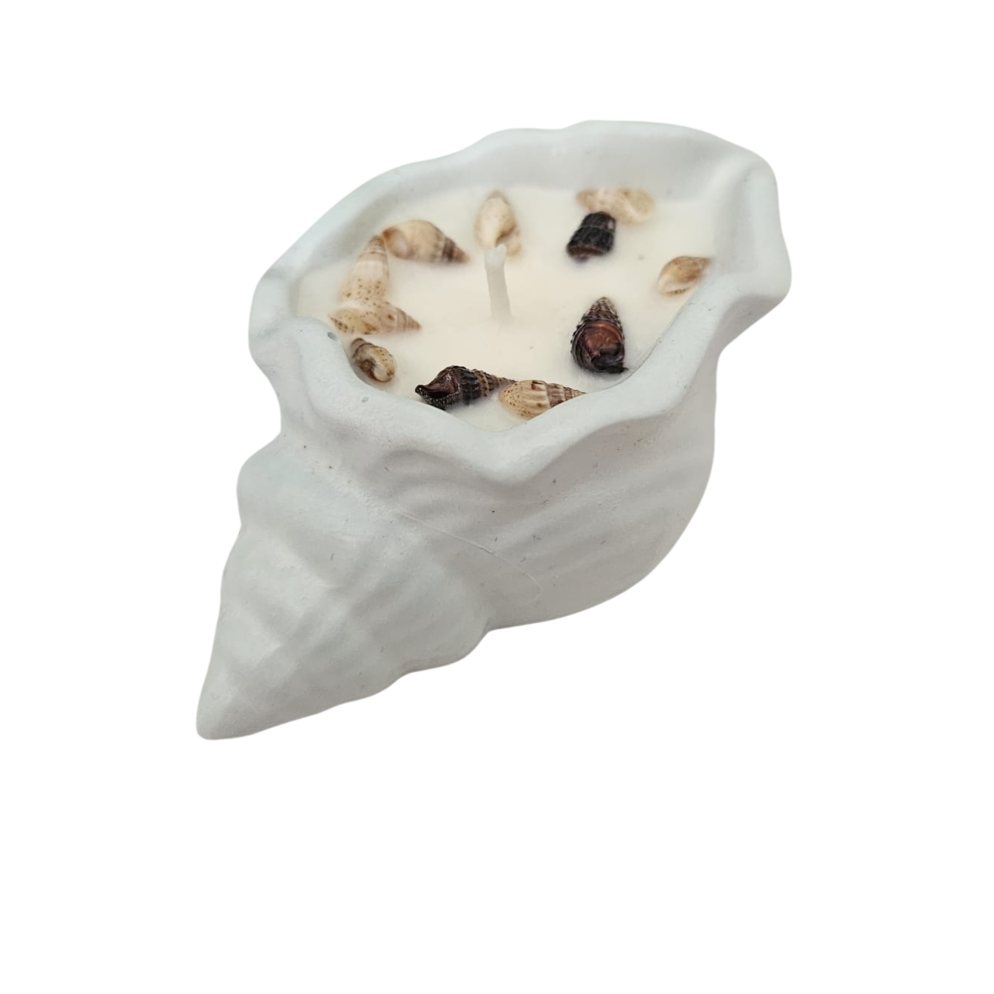 Shell Themed Scented Candle - Salt & Stone