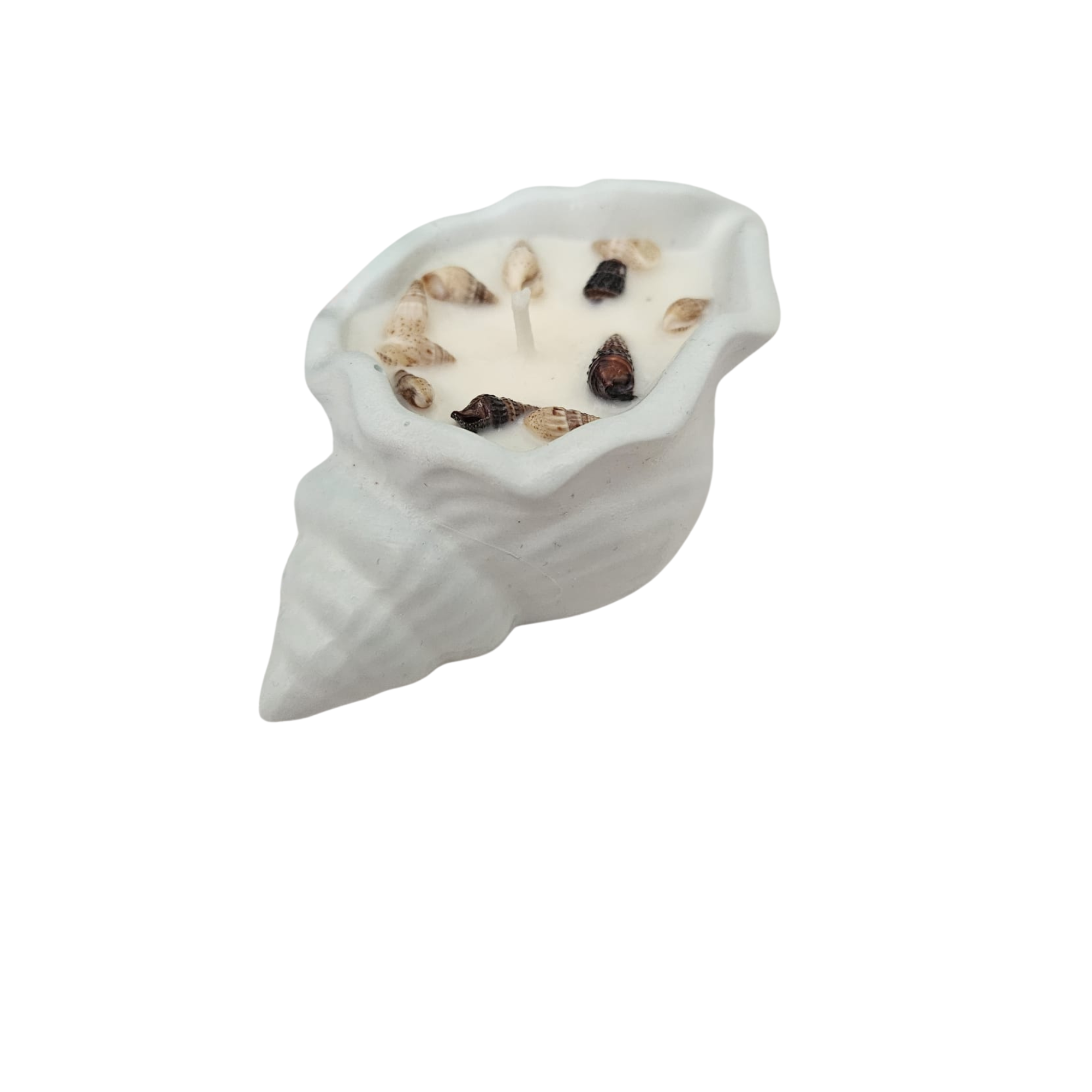 Shell Themed Scented Candle - Salt & Stone